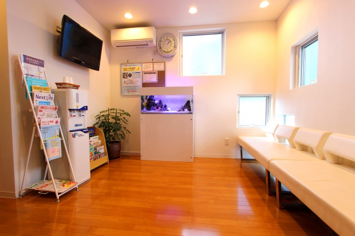 プロによる水槽管理 