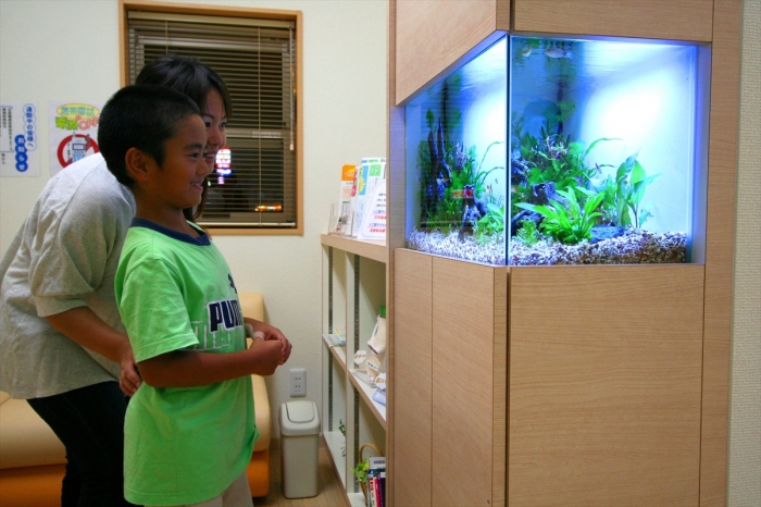 子供たちにも人気のアクアリウム 